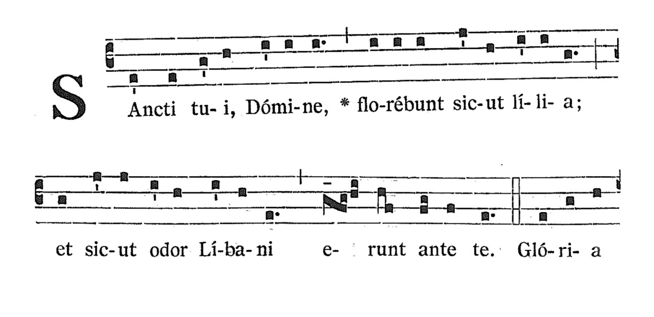 Sancti tui, Domine, florebunt