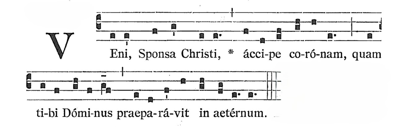 Veni Sponsa Christi